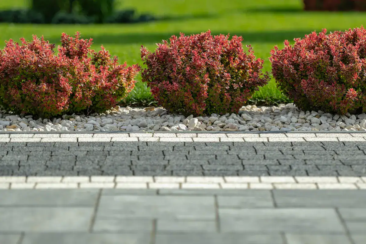 Close-up of a stylish concrete brick driveway with decorative plants, highlighting design choices in concrete projects.